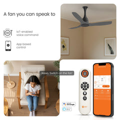 Aerosense Smart BLDC Ceiling Fan | 5 Year Warranty