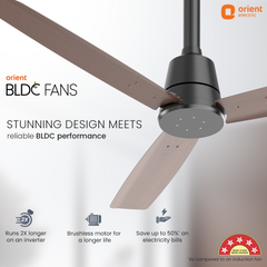 Proton BLDC Fan with Remote | 3-Year Warranty