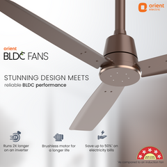 Proton BLDC Fan with Remote | 3-Year Warranty