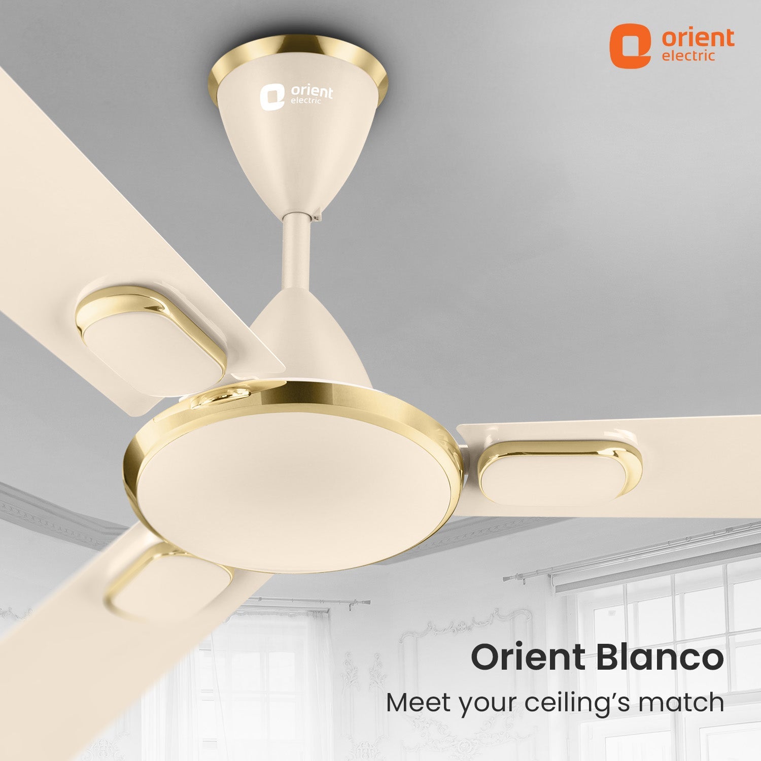 Blanco Decorative Ceiling Fan | 2-Year Warranty