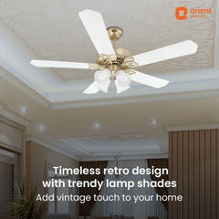 Subaris Underlight Premium Ceiling Fan with Remote | 2-year Warranty