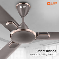 Blanco Decorative Ceiling Fan | 2-Year Warranty