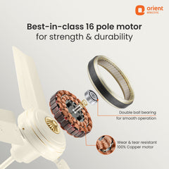 Summercool Ceiling Fan | 5-Year Warranty