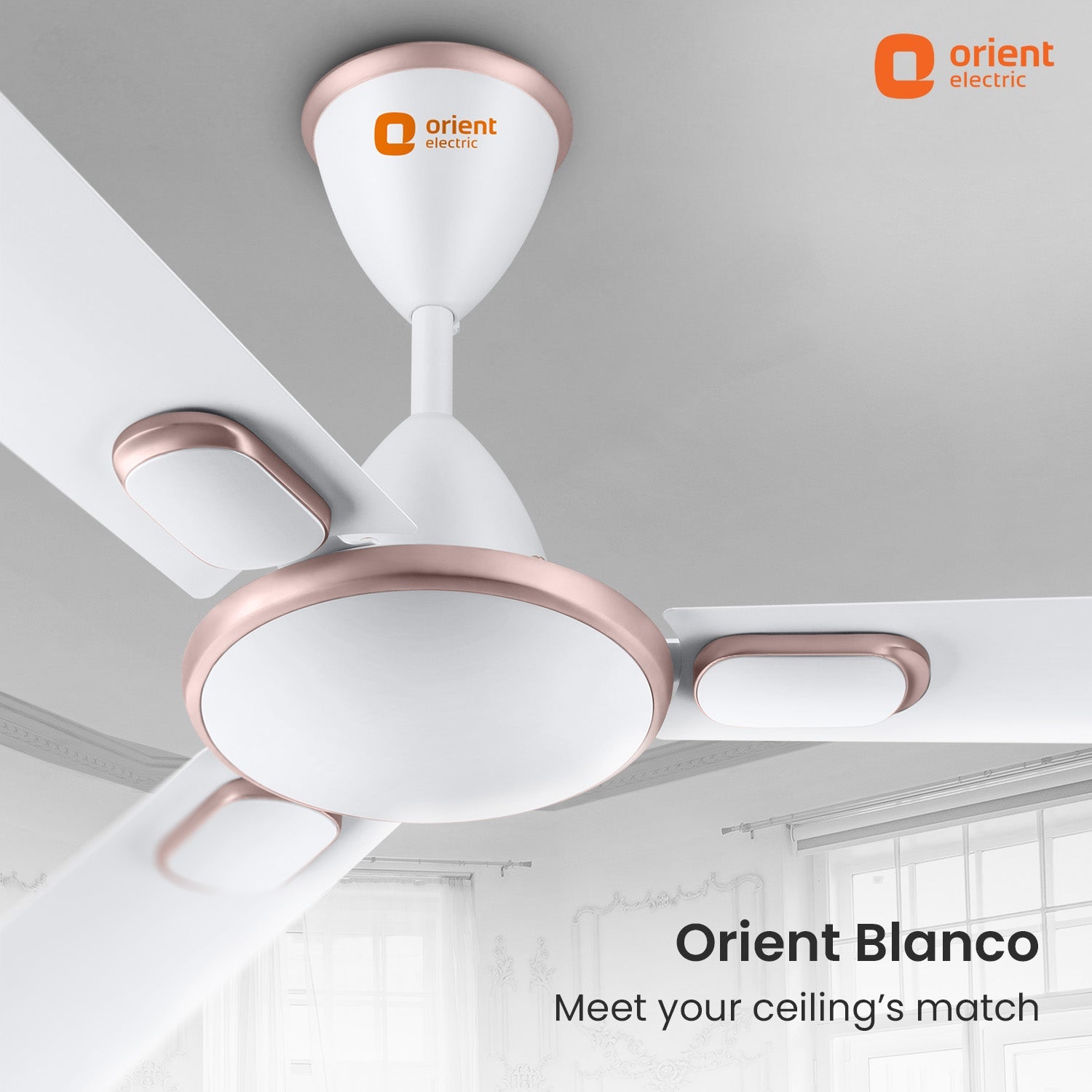 Blanco Decorative Ceiling Fan | 2-Year Warranty