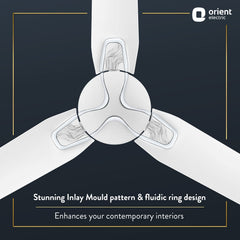 Jazz Art 1200 mm Decorative Ceiling Fan | 2-Year Warranty