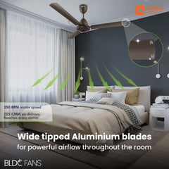 I-Falcon BLDC Ceiling Fan With Light & Remote