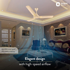 Jazz Art 1200 mm Decorative Ceiling Fan | 2-Year Warranty