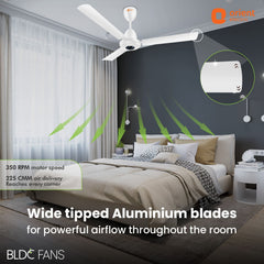 I-Falcon BLDC Ceiling Fan With Light & Remote