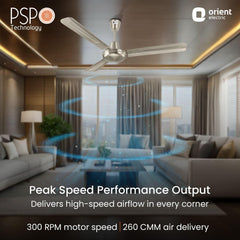 Quasar Ceiling Fan | 2-Year Warranty