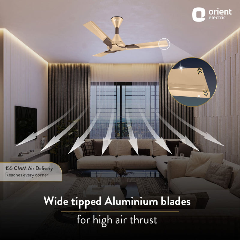 Wendy Stylish Ceiling Fan | 2-Year Warranty
