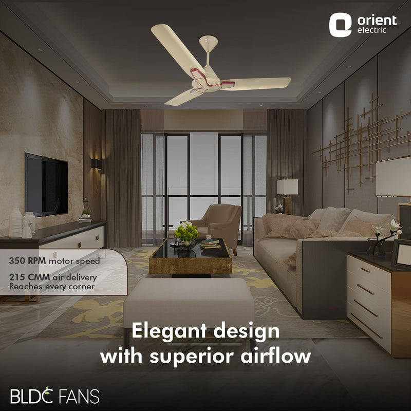 Jazz BLDC Decorative Ceiling Fan