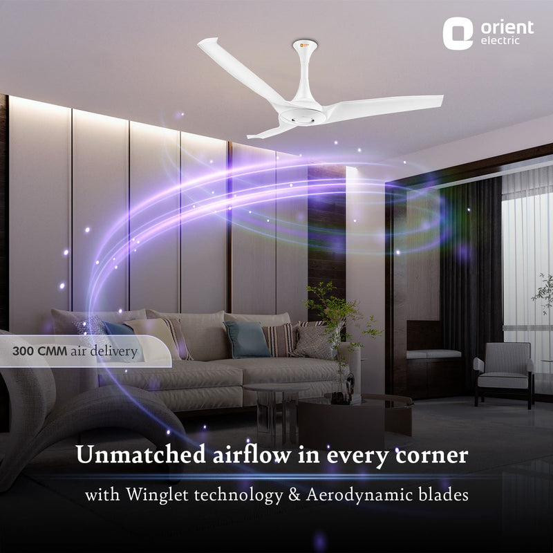 Aerostorm Premium Ceiling Fan | 2-year Warranty