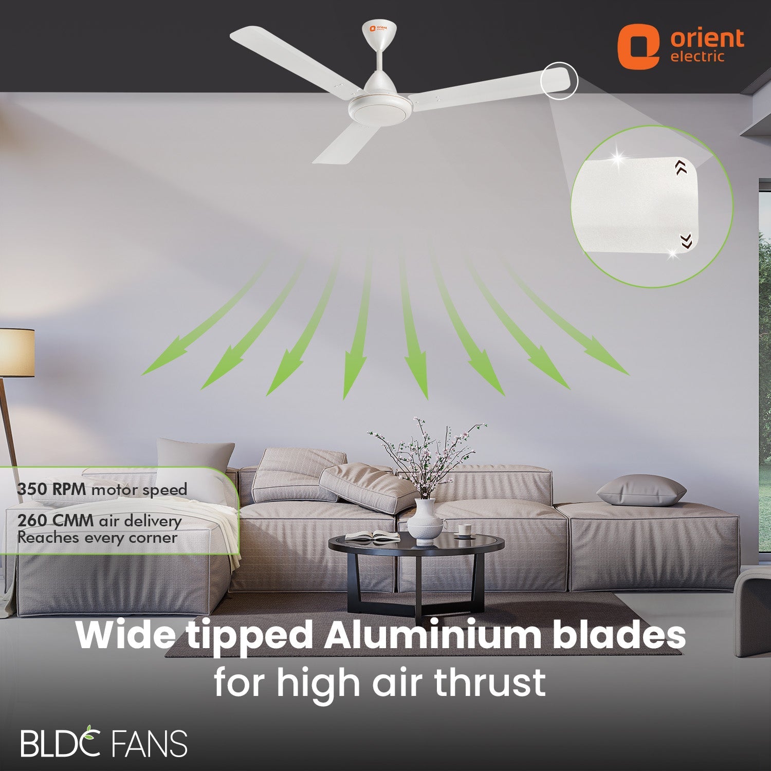 Hector 500 BLDC Ceiling Fan | 3 Year Warranty
