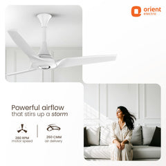 Aerostorm Premium Ceiling Fan | 2-year Warranty