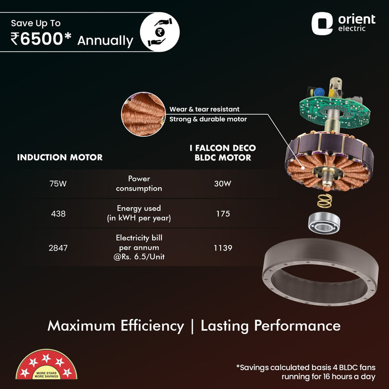 I-Falcon Deco BLDC Ceiling Fan