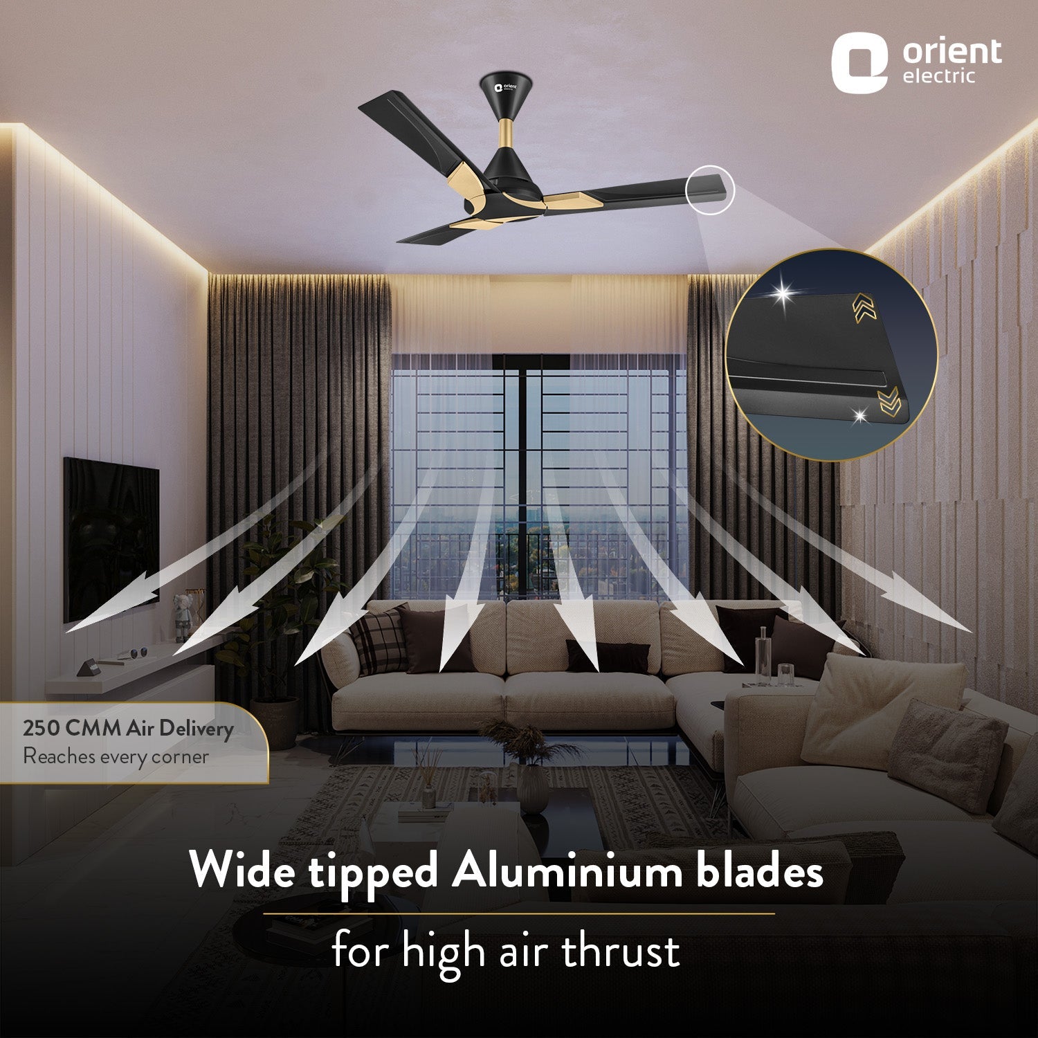 Wendy Stylish Ceiling Fan | 2-Year Warranty