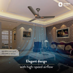 Jazz Trendz Decorative Ceiling Fan