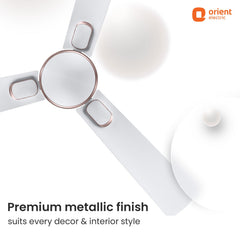 Blanco Decorative Ceiling Fan | 2-Year Warranty