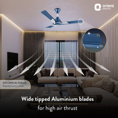 Wendy Stylish Ceiling Fan | 2-Year Warranty
