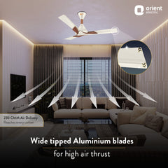 Wendy Stylish Ceiling Fan | 2-Year Warranty