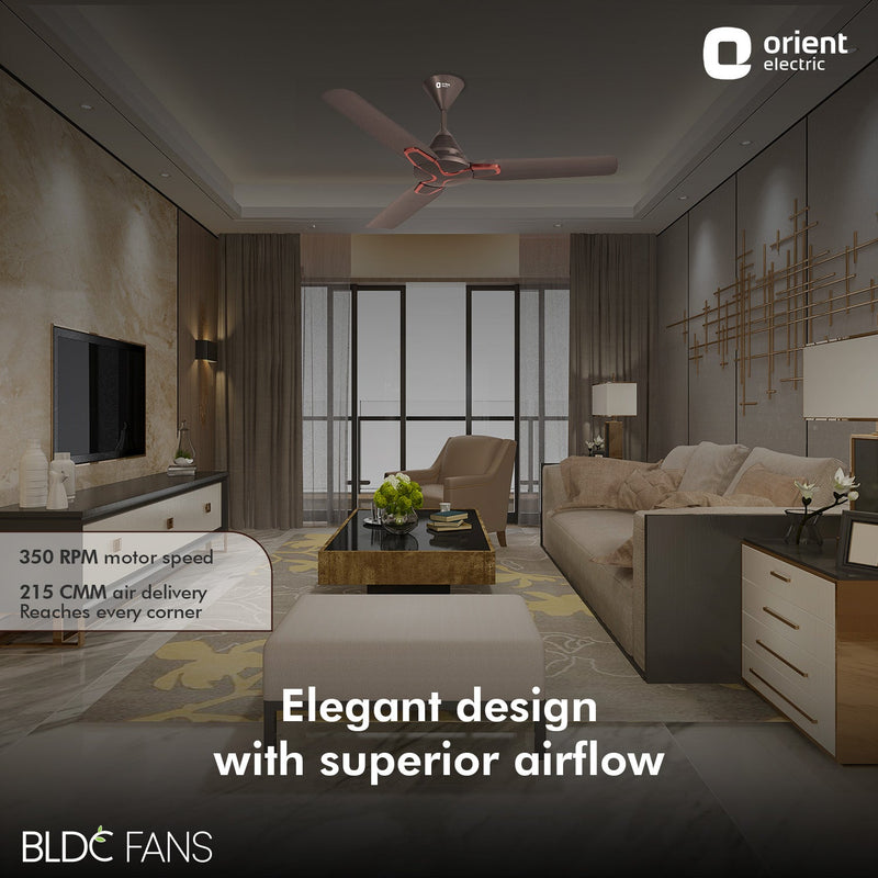 Jazz BLDC Decorative Ceiling Fan
