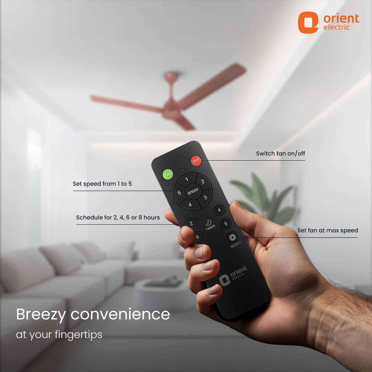 Ecotech Neu BLDC 5 Star Ceiling Fan | 3-Year Warranty