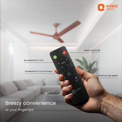 Ecotech Neu BLDC 5 Star Ceiling Fan | 3-Year Warranty