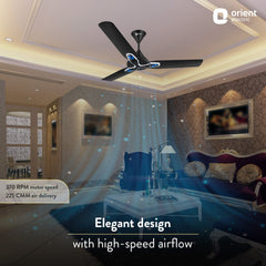 Jazz Art 1200 mm Decorative Ceiling Fan | 2-Year Warranty