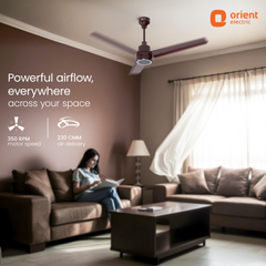 Ecotech Prime CX 5 Star BLDC Ceiling Fan with LED Indicator Light