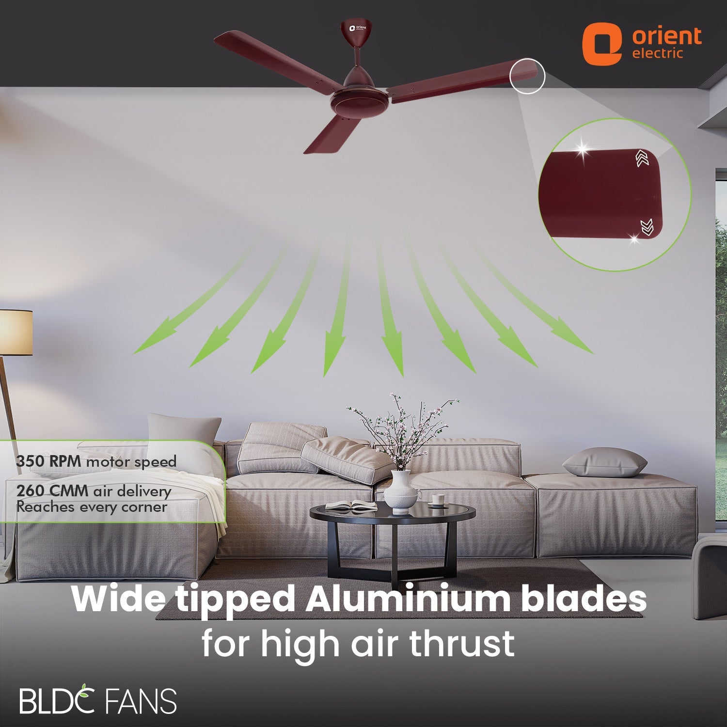 Hector 500 BLDC Ceiling Fan | 3 Year Warranty