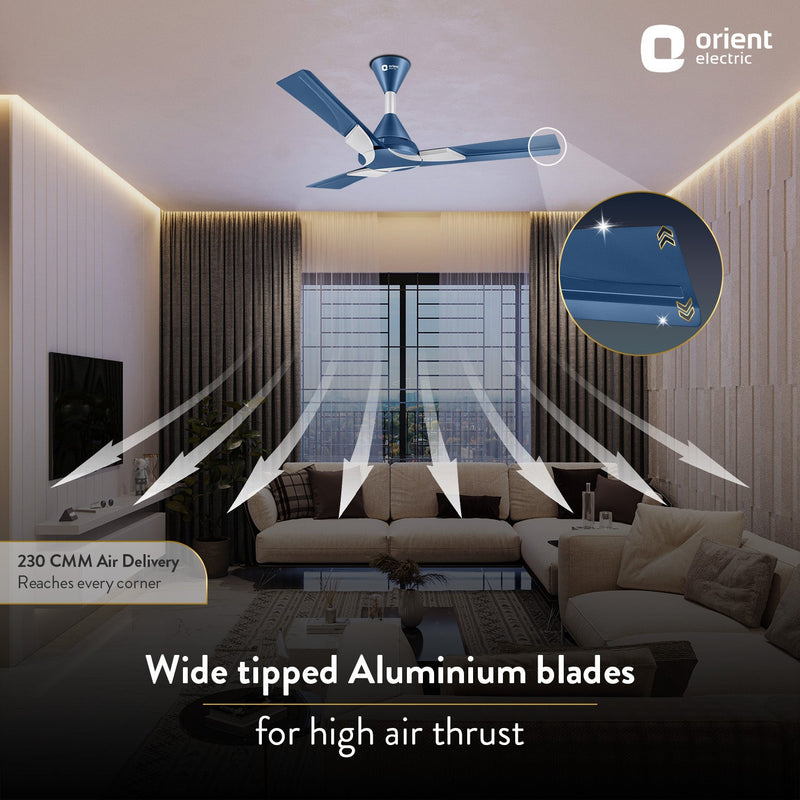 Wendy Stylish Ceiling Fan | 2-Year Warranty