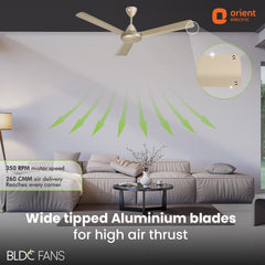 Hector 500 BLDC Ceiling Fan | 3 Year Warranty