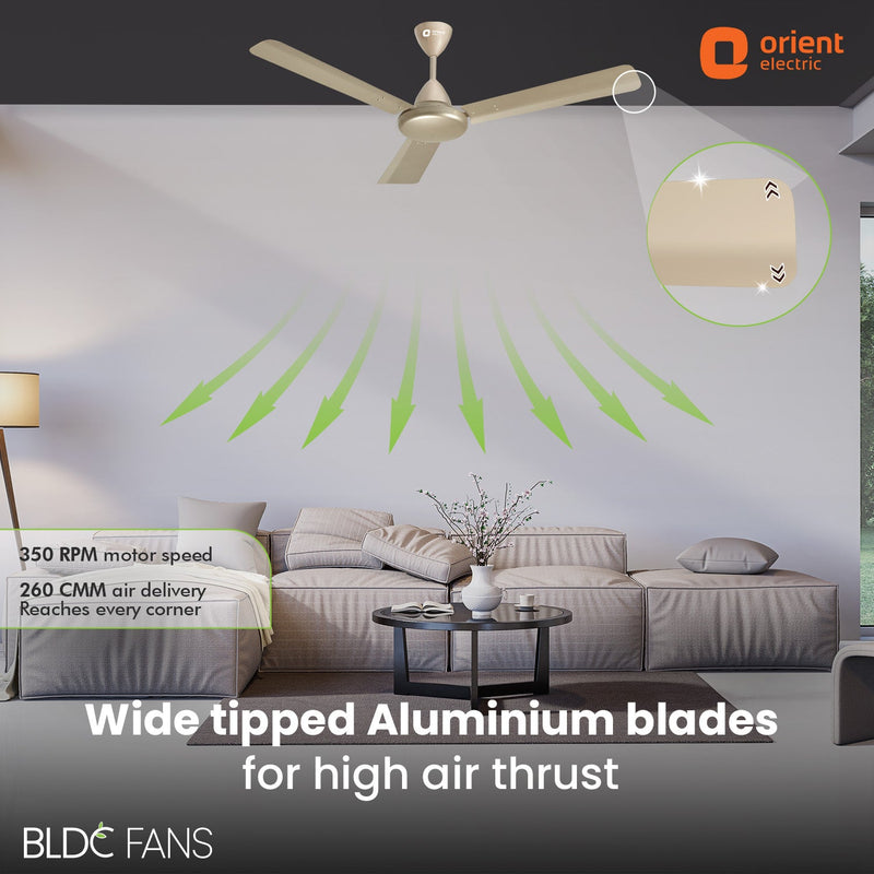 Hector 500 BLDC Ceiling Fan | 3 Year Warranty