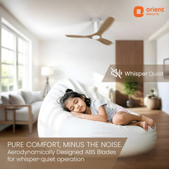Aerosleek 5 Star Rated Premium BLDC Fan with Remote