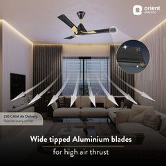 Wendy Stylish Ceiling Fan | 2-Year Warranty