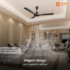 Mozart Minimalist Designer Ceiling Fan