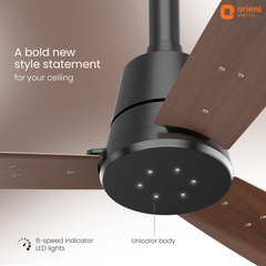 Proton BLDC Fan with Remote | 3-Year Warranty