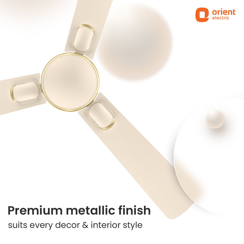 Blanco Decorative Ceiling Fan | 2-Year Warranty