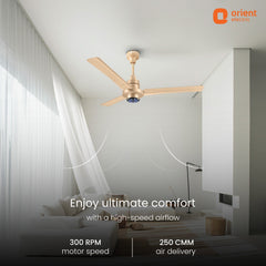 I Tome Pro BLDC Ceiling Fan