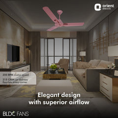 Jazz BLDC Decorative Ceiling Fan