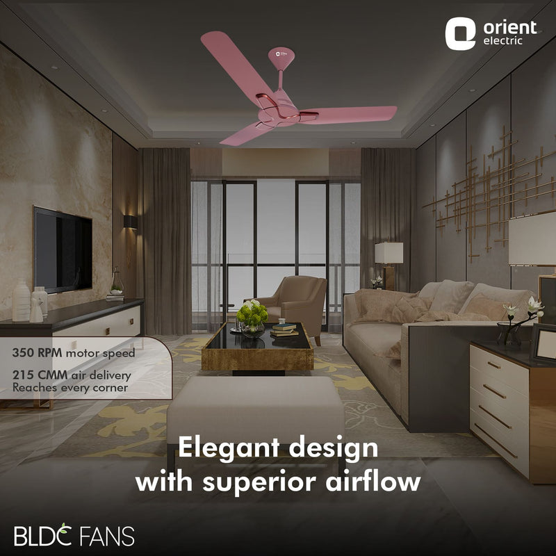 Jazz BLDC Decorative Ceiling Fan