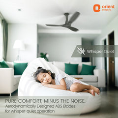 Aerosleek 5 Star Rated Premium BLDC Fan with Remote