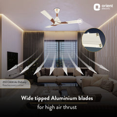Wendy Stylish Ceiling Fan | 2-Year Warranty