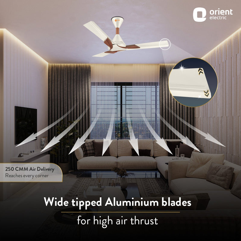 Wendy Stylish Ceiling Fan | 2-Year Warranty