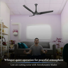 Aerostorm Premium Ceiling Fan | 2-year Warranty