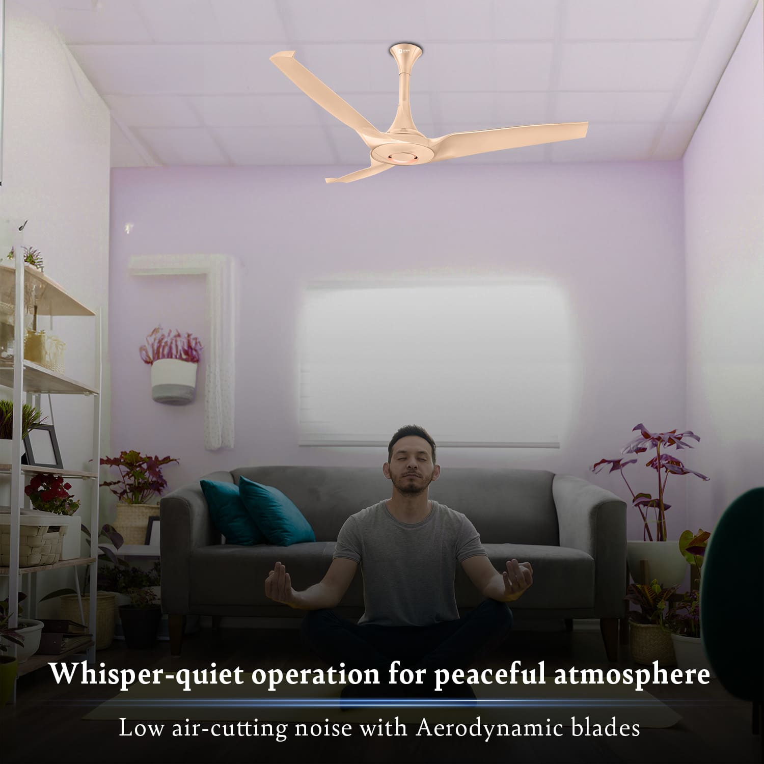 Aerostorm Premium Ceiling Fan | 2-year Warranty