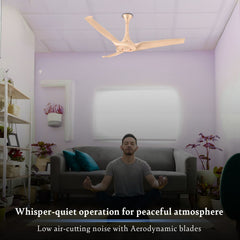 Aerostorm Premium Ceiling Fan | 2-year Warranty