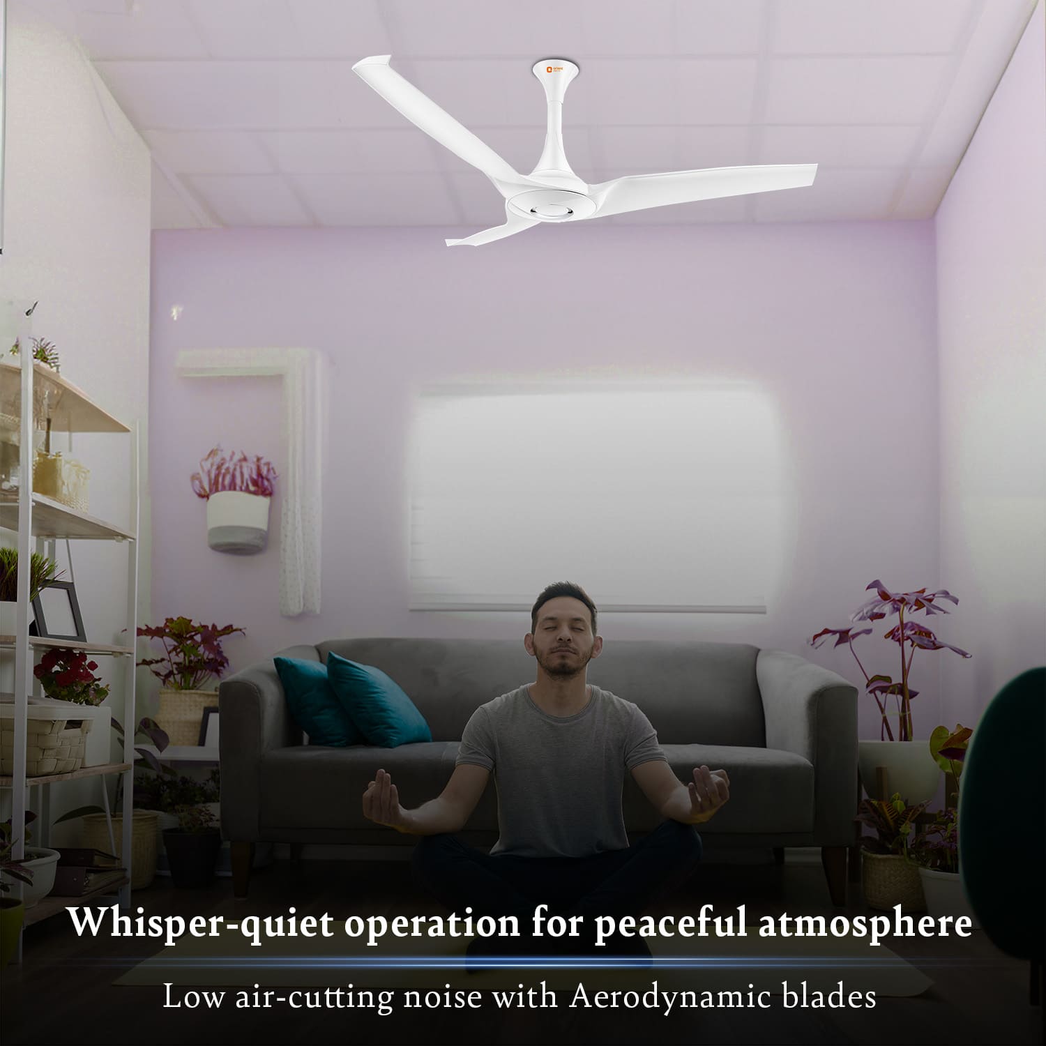 Aerostorm Premium Ceiling Fan | 2-year Warranty