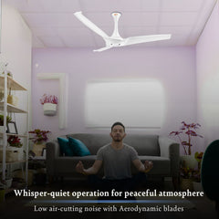 Aerostorm Premium Ceiling Fan | 2-year Warranty