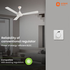 Hector 500 BLDC Ceiling Fan | 3 Year Warranty